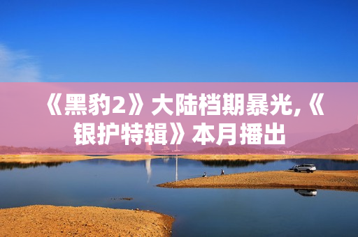 《黑豹2》大陆档期暴光,《银护特辑》本月播出