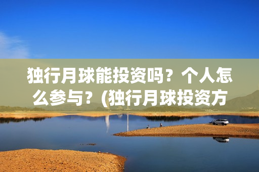 独行月球能投资吗？个人怎么参与？(独行月球投资方)