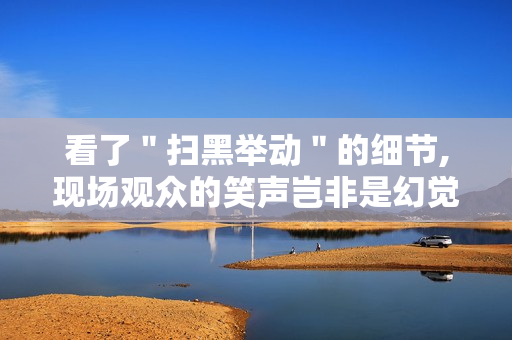 看了＂扫黑举动＂的细节,现场观众的笑声岂非是幻觉