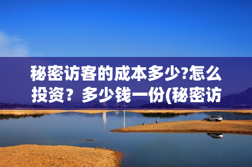 秘密访客的成本多少?怎么投资？多少钱一份(秘密访客的意义)
