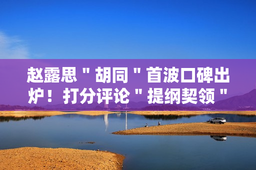 赵露思＂胡同＂首波口碑出炉！打分评论＂提纲契领＂