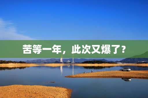 苦等一年，此次又爆了？
