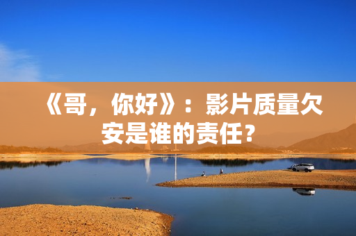 《哥，你好》：影片质量欠安是谁的责任？