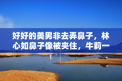 好好的美男非去弄鼻子，林心如鼻子像被夹住，牛莉一个鼻孔两个大