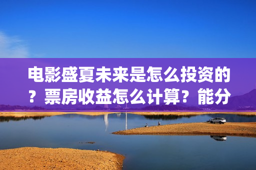 电影盛夏未来是怎么投资的？票房收益怎么计算？能分红吗？(盛夏未来是什么电影)