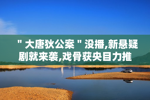 ＂大唐狄公案＂没播,新悬疑剧就来袭,戏骨获央目力推