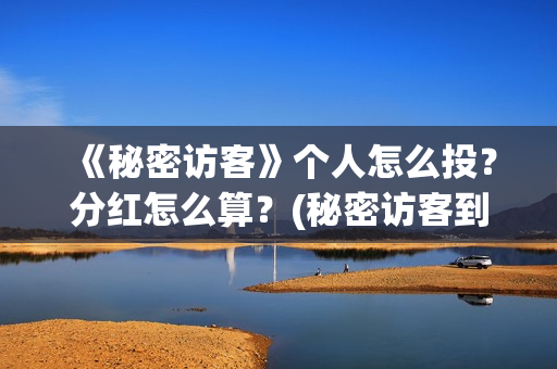 《秘密访客》个人怎么投？分红怎么算？(秘密访客到底演了个啥)