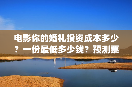 电影你的婚礼投资成本多少？一份最低多少钱？预测票房怎么样？(你的婚礼电影主演)