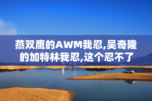 燕双鹰的AWM我忍,吴奇隆的加特林我忍,这个忍不了