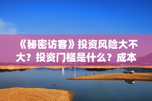 《秘密访客》投资风险大不大？投资门槛是什么？成本是多少？(秘密访客演了个啥)