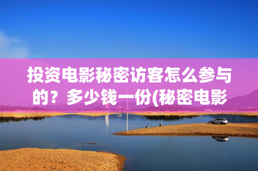 投资电影秘密访客怎么参与的？多少钱一份(秘密电影原著)