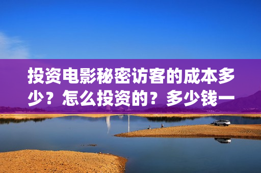 投资电影秘密访客的成本多少？怎么投资的？多少钱一份(电影秘密访客投资风险大吗)