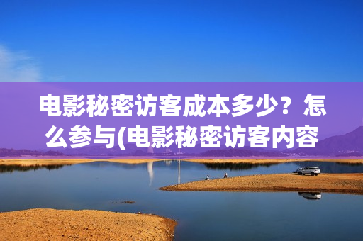 电影秘密访客成本多少？怎么参与(电影秘密访客内容)