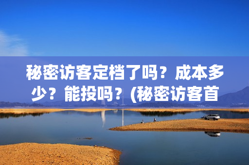 秘密访客定档了吗？成本多少？能投吗？(秘密访客首映)