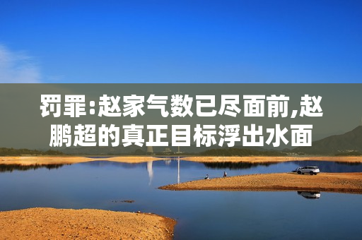 罚罪:赵家气数已尽面前,赵鹏超的真正目标浮出水面