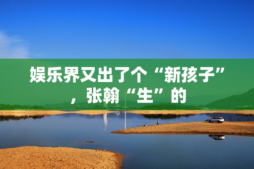 娱乐界又出了个“新孩子”，张翰“生”的