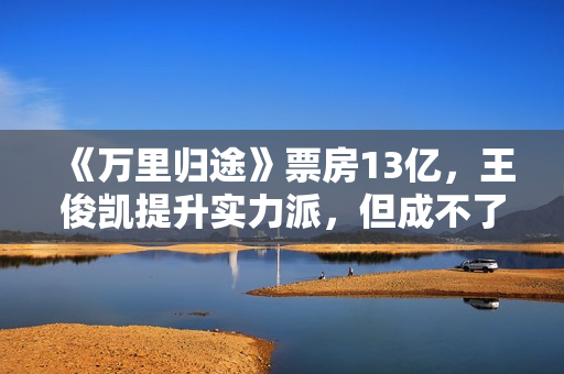 《万里归途》票房13亿，王俊凯提升实力派，但成不了下个易烊千玺