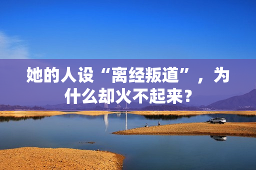 她的人设“离经叛道”，为什么却火不起来？