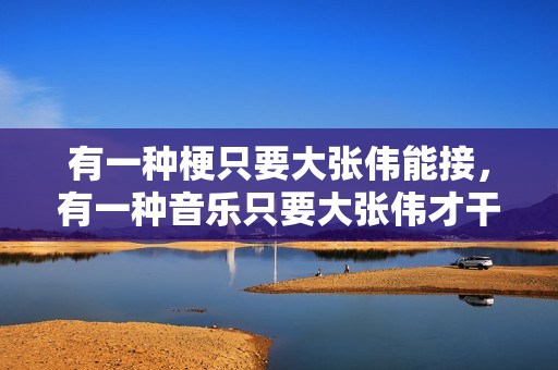 有一种梗只要大张伟能接，有一种音乐只要大张伟才干玩，太鬼才了