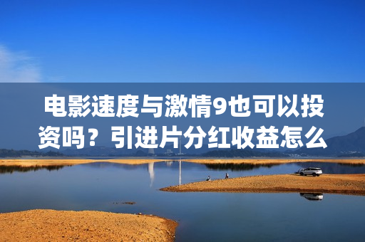 电影速度与激情9也可以投资吗？引进片分红收益怎么计算的？(电影速度与激情7)
