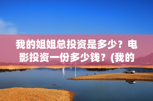 我的姐姐总投资是多少？电影投资一份多少钱？(我的姐姐投资商)