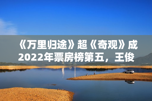 《万里归途》超《奇观》成2022年票房榜第五，王俊凯不输易烊千玺