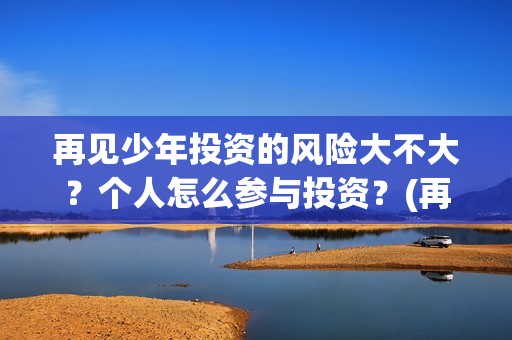 再见少年投资的风险大不大？个人怎么参与投资？(再见少年投资方)