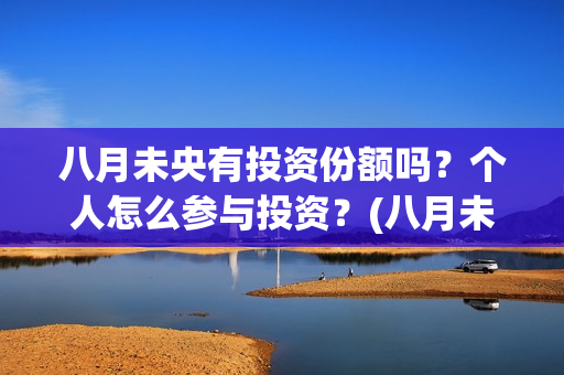 八月未央有投资份额吗？个人怎么参与投资？(八月未央总投资)