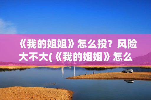 《我的姐姐》怎么投？风险大不大(《我的姐姐》怎么样)