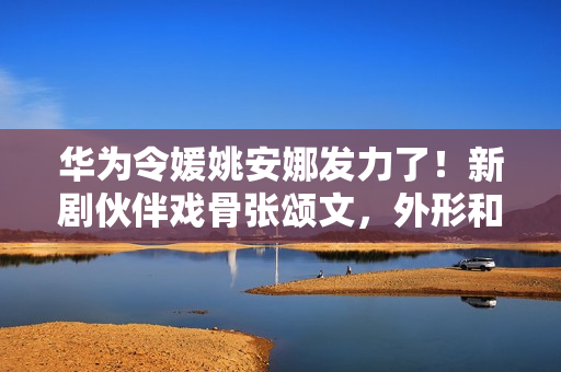 华为令媛姚安娜发力了！新剧伙伴戏骨张颂文，外形和演技使人耽忧