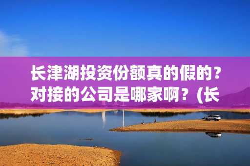 长津湖投资份额真的假的？对接的公司是哪家啊？(长津湖投资额度)