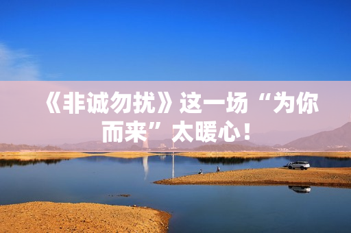 《非诚勿扰》这一场“为你而来”太暖心！