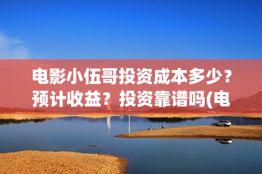 电影小伍哥投资成本多少？预计收益？投资靠谱吗(电影小伍哥导演)
