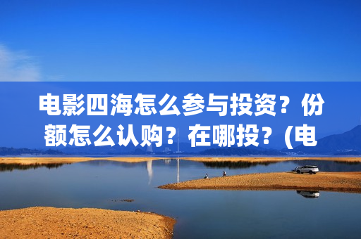 电影四海怎么参与投资？份额怎么认购？在哪投？(电影《四海》)