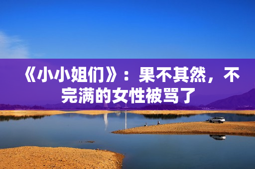 《小小姐们》：果不其然，不完满的女性被骂了