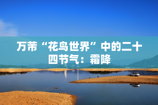 万芾“花鸟世界”中的二十四节气：霜降