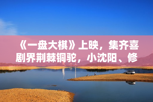 《一盘大棋》上映，集齐喜剧界荆棘铜驼，小沈阳、修睿演郭涛儿子