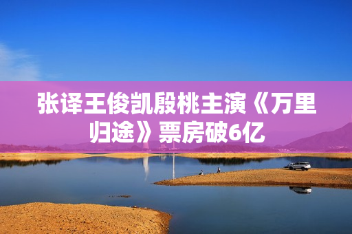 张译王俊凯殷桃主演《万里归途》票房破6亿