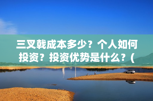 三叉戟成本多少？个人如何投资？投资优势是什么？(三叉戟多重)