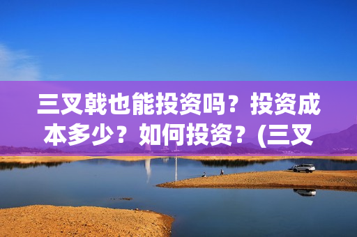 三叉戟也能投资吗？投资成本多少？如何投资？(三叉戟-2)