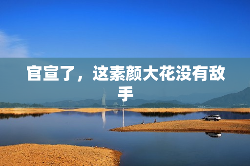 官宣了，这素颜大花没有敌手