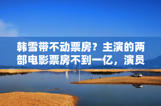 韩雪带不动票房？主演的两部电影票房不到一亿，演员不是首要成绩