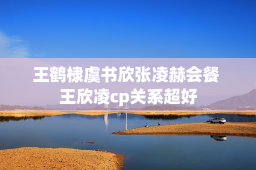 王鹤棣虞书欣张凌赫会餐 王欣凌cp关系超好
