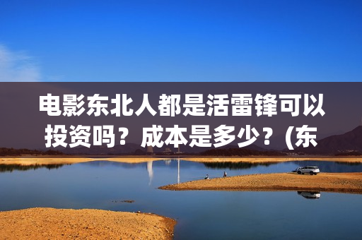 电影东北人都是活雷锋可以投资吗？成本是多少？(东北人的电视)