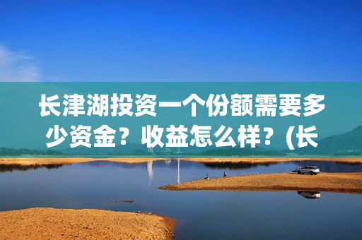 长津湖投资一个份额需要多少资金？收益怎么样？(长津湖投资了几个亿)