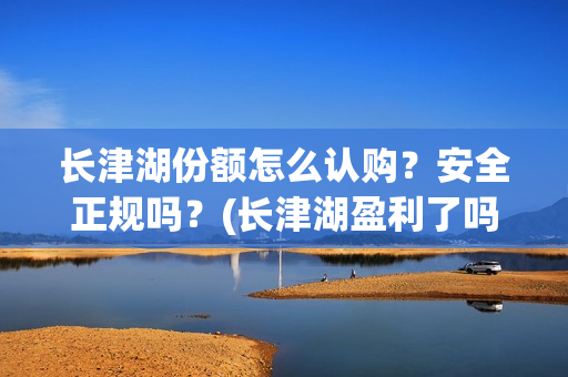 长津湖份额怎么认购？安全正规吗？(长津湖盈利了吗)