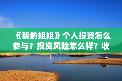 《我的姐姐》个人投资怎么参与？投资风险怎么样？收益空间怎么样？(《我的姐姐》百度百科)
