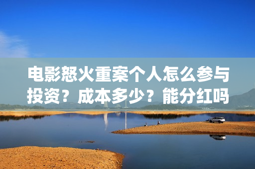 电影怒火重案个人怎么参与投资？成本多少？能分红吗？(怒火重案2020)