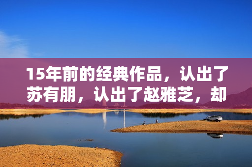 15年前的经典作品，认出了苏有朋，认出了赵雅芝，却没认出贾乃亮