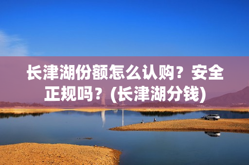 长津湖份额怎么认购？安全正规吗？(长津湖分钱)
